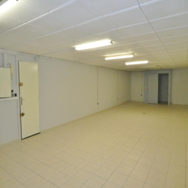 Location Immobilier Professionnel Local commercial La varenne st hilaire 94210